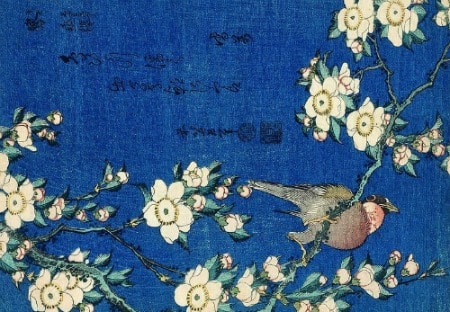 Série des Petites Fleurs  Katsushika Hokusai 1834